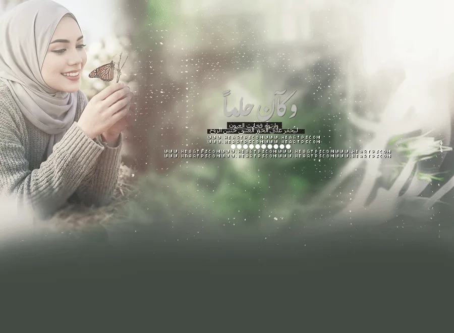 اا_01.gif